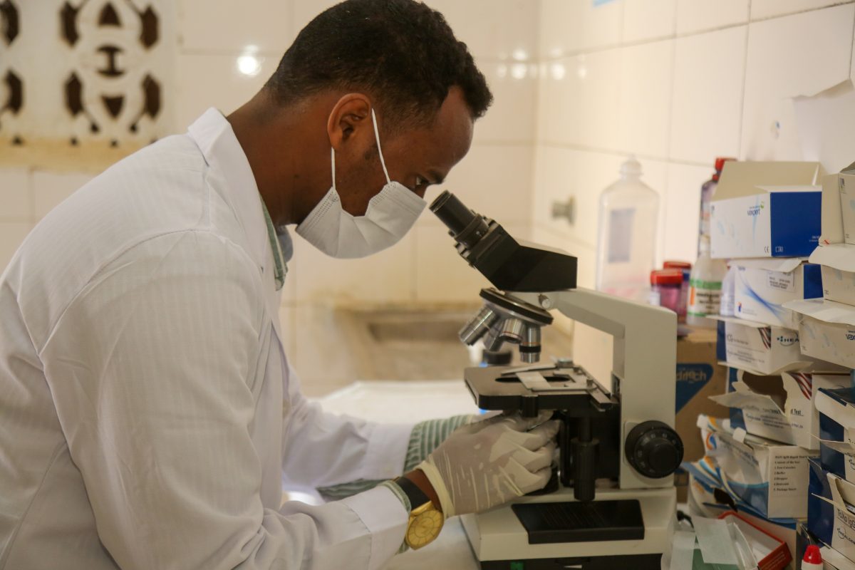 Photo byaimeevia Iwaria 3